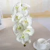 Kwiaty dekoracyjne sztuczny orchidea kwiat ma prawdziwą białą symulację motyla phalaenopsis do domowej dekoracji przyjęcia weselnego