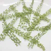 Fleurs décoratives 60pcs pressé séché Lepidium Apetalum feuille plante herbier pour bijoux étui de téléphone signet Scrapbook carte d'invitation