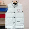 Gilet en duvet pour hommes et femmes Macaron Light Northern Manteau d'hiver Manteau en duvet épaissi Vêtements pour hommes et femmes Chaud Unisexe XS-2X Multi couleur