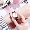 Montre à Quartz pour femmes, confortable, café, ceinture en Nylon, classique, Joker, fille, analogique, Simple, 3054