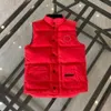 Gilet en duvet pour hommes et femmes Macaron Light Northern Manteau d'hiver Manteau en duvet épaissi Vêtements pour hommes et femmes Chaud Unisexe XS-2X Multi couleur