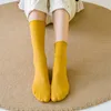 Mulheres meias 4Pairs/Set Summer Moda feminina Moda de cor sólida meia