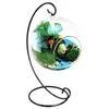 12 Stück Ornament-Ausstellungsständer, 22,9 cm hoch, Hängeregal zum Aufhängen von Globus, Luftpflanzen, Terrarienpflanzen, Hexenkugeln, Ständer f282s