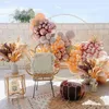 Christmas Decorations Flowers Orange Grass Decor Fluffy Dried Flower Wedding Bouquet Dry Decorations for Home R230922