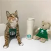 고양이 의상 insue catbucks 옷을위한 재미있는 개 앞치마를위한 재미있는 개 앞치마 강아지 강아지 테디 애완 동물 slobber 턱받이 생일 스카프 새끼 고양이 옷