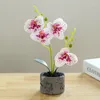 Decorative Flowers Plastic Butterfly Orchid Artificial Flower Bonsai Phalaenopsis Pot Home Wedding Party Decoration Table Fake Plants