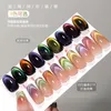 Nail Polish 9ColorKit Double Light Cat Eye Gel Nail Polish French Dopamine Soak Off UV LED Varnish Chameleon Candy Magnetic Nail Gel Polish 230922