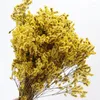 Kwiaty dekoracyjne 35-45 cm/ 100G Prawdziwy naturalny wysuszony zachowany kryształowy trawa kwiat suchy kochanek