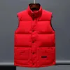 puffer vest NEW Winter vest men and women fashion warm solid down vest sleeveless jacket Classic Jackets Casual bodywarmer Vests Coat Manteau N