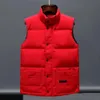 Herrendesigner Veste Puffer Weste Männer Premium Paar Mantel warm dicke doppelte Reißverschluss Weiß duck down fill