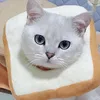 Hundkläder krage Anti-Scratch Cat Recovery Bread Form Pet Liten kostym Elektronisk försörjning Kattunge Kon Bomullsvalp