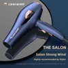 Secadores de cabelo Secador profissional de alta potência Secagem rápida luz azul íon negativo silencioso recomendado por cabeleireiros domésticos 230922