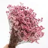 Dekoratif çiçekler 35-45cm/ 100g gerçek doğal kurutulmuş korunmuş kristal çim çiçek buket kuru sevgili düzenlemesi ev düğün dekor