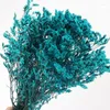Decorative Flowers 35-45CM/ 100g Real Natural Dried Preserved Crystal Grass Flower Bouquet Dry Lover Arrangement Home Wedding Decor