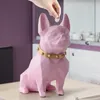 Nyhetsartiklar French Bulldog Coin Bank Box Piggy Bank Figurin Hemdekorationer Mynt förvaringslåda Holder Toy Child Gift Money Box Dog for Kids 230923