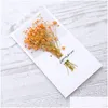 Wenskaarten 10 stuks Gypsophila gedroogde bloemen handgeschreven zegenkaart verjaardagscadeau trouwkaarten1 drop levering huis tuin Otifq