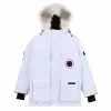 Пуховик канадского гуся, женская куртка-пуховик, парки, зимняя толстая теплая куртка-гусиная женская ветрозащитная куртка с вышивкой и буквами, уличная одежда, повседневная одежда Canda Goose 19 C3p3 C3P3