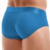 Sous-vêtements Jockmail Sexy Sous-vêtements pour hommes Slips en maille respirante String pour hommes Bikini Gay Lingerie Tangas Slip