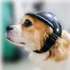 犬のアパレルハードハット大犬用の大規模なペットの安全性小さな犬用の調整可能なストラップ弾性バンド猫屋外子犬黒