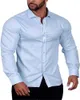 Men's Dress Shirts 2023 Slim Fit Shirt Business Casual Long Sleeve Button Lapel 5 Colors Oversized S-6XL