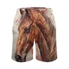 Herenshorts Zomer Board Paard Sport Surf Fantastisch Groteske Gedrukt Strand Vintage Sneldrogende Zwembroek Grote maten