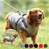 Odzież dla psa duża kurtka z uprzężem zimowe ciepłe ubrania do Labrador Waterproof Waterproof Big Plat Chihuahua French Bulldog Outfits 2309923