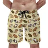 Мужские шорты с принтом морской свинки, летние пляжные шорты с милыми животными для серфинга, быстросохнущие плавки с забавным дизайном, большие размеры