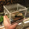 Fournitures pour reptiles boîte acrylique transparente Terrarium pour reptiles et amphibiens grillon tortue araignée escargot abri en verre terarium terraria gecko 230923