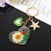 Keychains Clear Real Drooged Flower Resin Daisy Petal Heart Star Pendant Metal Key Chain Lobster Clasp Keyring Holder Party Cadeau sieraden