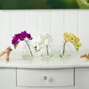 Fleurs décoratives Orchidée Phalaenopsis Arrangement de fleurs artificielles dans un vase Ensemble de 3 multicolores