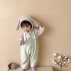 Ensembles de vêtements Automne bébé mignon dessin animé sans manches combinaison ensemble infantile fille lapin oreille sweat à capuche costume enfant en bas âge tenues 230923