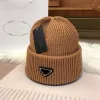 페스티벌 디자이너 여성 니트 모자 따뜻한 파티 패션 럭셔리 남성 버킷 모자 p 서양 트렌드 캡 바람이 부는 겨울 털이 모자