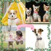 Hundebekleidung 10 Stück Fliege Haustierbedarf Modekragen Kleine Fliege Hunde Haustiere Produkte Pflegezubehör für 230923