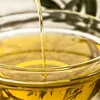 Organizzazione per riporre la cucina Dispenser per olio d'oliva da 350 ml Pentola per olio/aceto in acciaio inossidabile da cucina Bottiglia per olio d'oliva Contenitore per olio d'oliva 230923