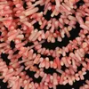 Naszyjniki Zestaw Baby Pink Coral Peads African Wedding Meshase Fashion Nigerian Women ABH234