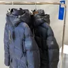 Mann Designer Mittellange Version Puffer Damen Daunen Winterjacke Parkas Gestreift Kariert Dicker Warmer Mantel Damen Winddichte Streetwear