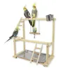 Andra fågelförsörjningar papegoja PlayStand Plays Stand Cockatiel Playground Wood Perch Gym Ladder With Metal Feeder Plate Toy 230923