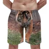 Shorts pour hommes Tiger Resting Gym Animal Casual Beach Male Design Surf Confortable Maillot de bain Cadeau