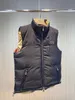 Mens Down Parkas Mens Vests Moncl Puffer Vest Reversible Dow