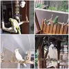 Andra fågelförsörjningar papegoja svängande abborstativ tugga för stora fåglar lätt att installera 230923