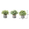 Vases 3 Pots Plastic Green Plants Metal Potted Simulated Eucalyptus Tree Retro Style Iron Bucket