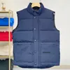 colete designer casaco mens gilet jaqueta de inverno para baixo quente parka impressão roupas outwear blusão inverno marca casal estilo de rua casacos plus size