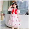 Mädchen Kleider Mädchen Stickerei Kleid Schöne Rose Blume Sommer Kinder Kleidung 2 bis 14 Jahre Kinder Blase Ärmel Spitze mesh Prinzessin