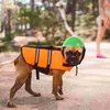 Abbigliamento per cani Motor Cycle Pet Cappello divertente Plastica Compleanno Decorativo Sicurezza Abs Protettivo Cucciolo