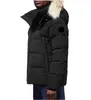 캐나다 복구 재킷 남자 디자이너 리얼 코요테 털 야외 Wyndham Windbreaker Jassen outerwear 후드 Fourrure Manteau Down Jacket Coat Diva Doudoune
