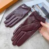 Schaffell-Handschuhe für Damen, warmes Plüschfutter, Fäustlinge, modisches Leder, Mädchen, Fünf-Finger-Handschuhe, Winter, Geschenk, inklusive Box