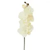 Fiori decorativi Fantasia Falso Phalaenopsis Tessuto realistico resistente ai raggi UV Fiore artificiale di orchidea farfalla finta reale commovente