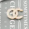 20 Styles Designmärke Desinger Brosch Women Love Crystal Rhinestone Pearl Letter Brosches Suit Pin Fashion Jewelry Clothing