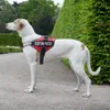 カスタマイズされたパッチ犬を備えた小さな大きな犬用のクレファンパーソナライズされた反射性調整可能なハーネスベストトレーニング用品