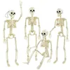 Andere Event Party Supplies Halloween bewegliches Skelett gefälschte menschliche Schädel Knochen Home Bar Dekorationen Spukhaus Horror Requisiten Ornament Spielzeug 230923